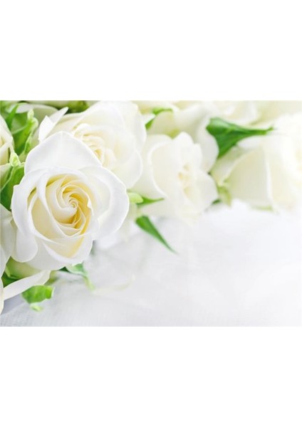 Çiçek Desen 3D Özel Tasarım Duvar Kağıdı 0124 Vinil