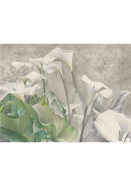 Özel Tasarım Duvar Kağıdı Kanvas Tek Parca