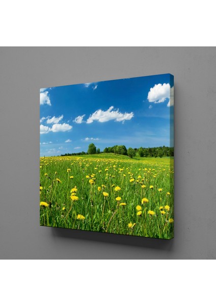 Papatya ve Bulutlar 80X80CM