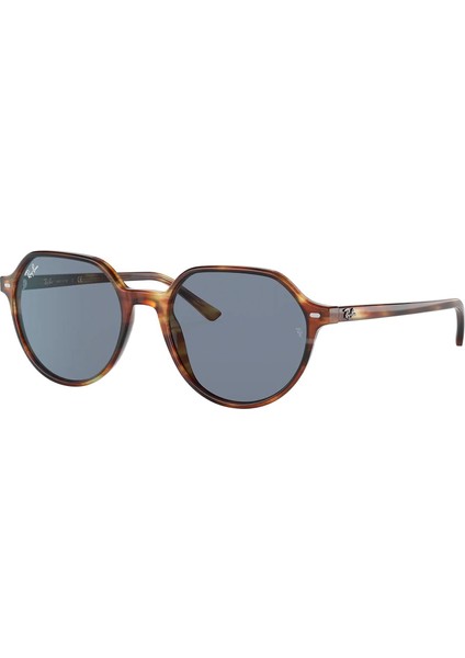 RB2195 954/62 53 Unisex Güneş Gözlüğü