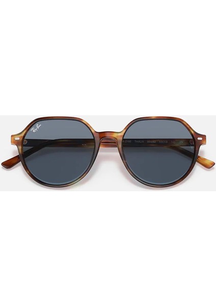 RB2195 954/62 53 Unisex Güneş Gözlüğü