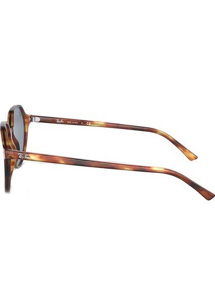 RB2195 954/62 53 Unisex Güneş Gözlüğü