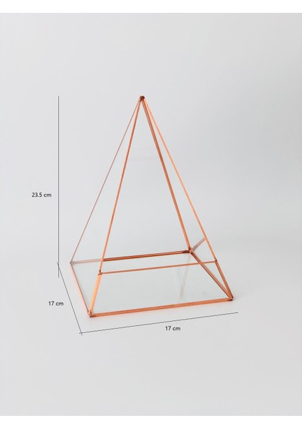 Dekoratif Cam Fanus. Teraryum Cam Fanus. Geometrik Cam Fanus.