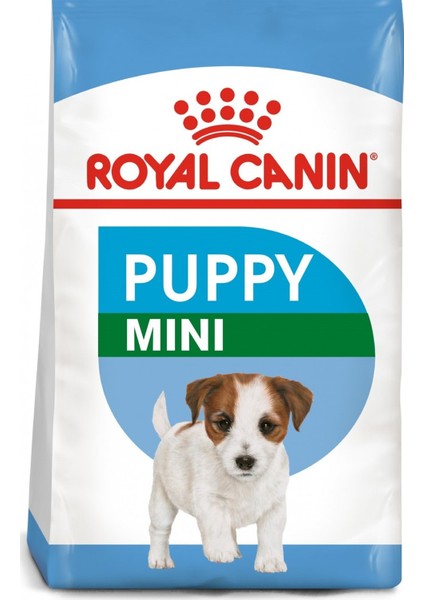 Shn Mını Puppy 4kg