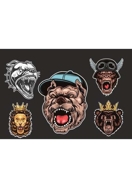 5 li Motorsiklet Kask Sticker Set 1 Ad. (12X7,5) 4 Ad. (6x6)