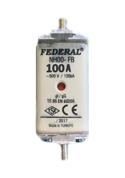 Buşon Sigorta NH00 100A Çift Indikatörlü 9CB-BG010-0100