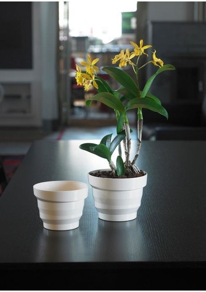 Vertigo Bıen Parla Ø16 cm 16X12H