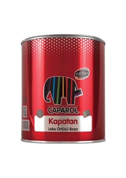 Filli Boya Leke Örtücü Boya Kapatan 2.5lt