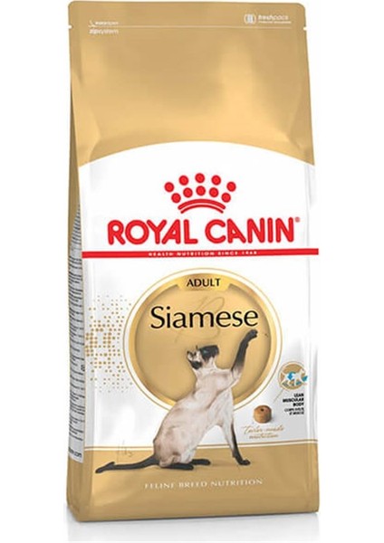 Siamese 38 2 kg Yetişkin Kuru Kedi Maması
