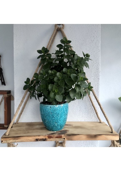 Ahşap Salıncak Dekoratif Duvar Rafı-Çiçeklik-Kitaplık