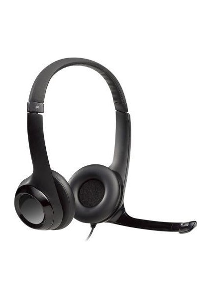 H390 USB Stereo Mikrofonlu Kulaküstü Kulaklık Siyah