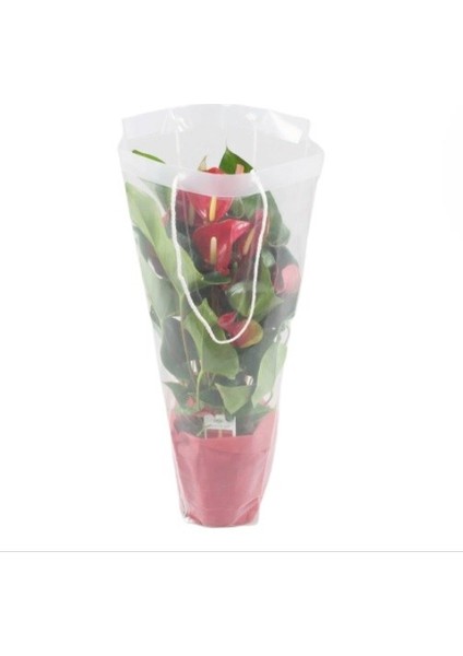 Antoryum Çiçeği 60 cm Ithal modelleri