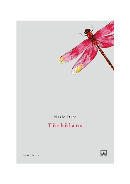 Türbülans - Naile Dire