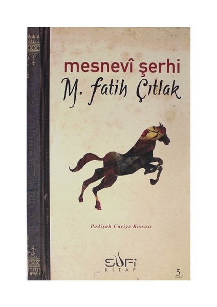 Mesnevi Şerhi-M. Fatih Çıtlak