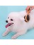 Bambu Kedi-Köpek Tarağı-Fırçası Large 4