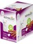 Royalıst Cat Hindili Stıcks 20 gr 2