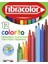 Colorito Ince Uçlu Keçeli Kalem 12 Renk 1