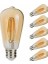 5'li Flamanlı Rustik LED Ampul Dekoratif Vintage Aydınlatma 6 W 1
