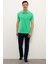 U.S. Polo Assn. Erkek Elma Yeşili T Shirt Basic