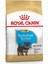 Royal Canın Bhn Yorkshıre Terrıer Puppy 1,5kg 1