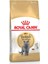 British Shorthair 2 kg Yetişkin Kuru Kedi Maması 1
