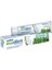 Biorichi Ecolinn Ecodent Diş Macunu 100ML 1