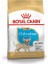 Bhn Chıhuahua Puppy 1,5 kg 1