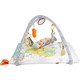 Fisher-Price Perfect Sense Deluxe Jimnastik Merkezi, Yenidoğanlar İçin Yumuşak Oyun Halısı FXC37