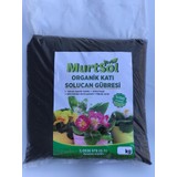 Murtsol %100 Organik Katı Solucan Gübresi 25 kg