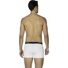 D'S Damat Boxer