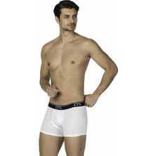 D'S Damat Boxer