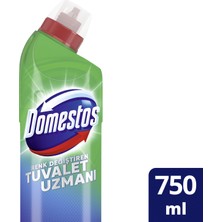 Domestos Tuvalet Temizleyici Renk Değiştiren Tuvalet Uzmanı Kireç Çözücü 750 ML 1 Adet