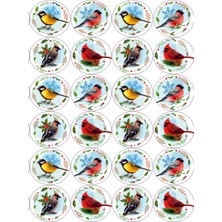 Tellgraf Kuş Sticker