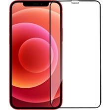 Case World Apple iPhone 12 Mini Tam Kaplayan Temperli Ekran Koruyucu Cam