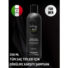 Alfaparf Milano Blends Of Many Erkekler Için Tüm Saç Tiplerine Uygun Şampuan 250 ml