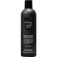 Blends Of Many Erkekler Için Kepekli ve Yağlı Saçlara Özel Dengeleyici Şampuan 250 ml