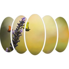 Renkselart Kelebekler Mdf TABLO-0726