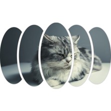 Renkselart Kedi Mdf TABLO-2525