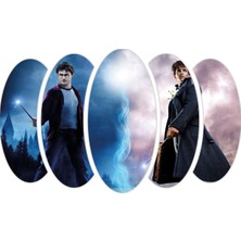 Renkselart Harry Potter Mdf TABLO-2991