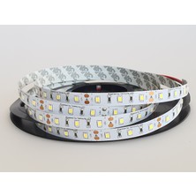 Samsung Arge LED Samsung 12V 5mt 6500K (Soğuk Beyaz) Şerit LED