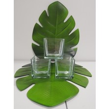 Morza Home Cam Magnolya