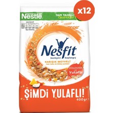 Nestle Nesfit Karışık Meyveli Kahvaltılık Gevrek 400 gr  x 12