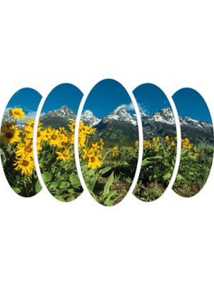 Renkselart Ay Çiçeği Mdf TABLO-0835