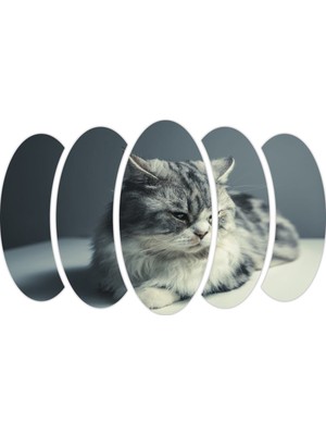 Renkselart Kedi Mdf TABLO-2525