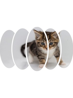 Renkselart Kedi Mdf TABLO-2528