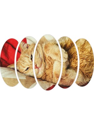 Renkselart Kedi Mdf TABLO-2540