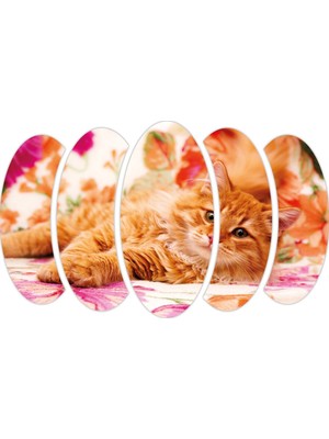 Renkselart Kedi Mdf TABLO-2551