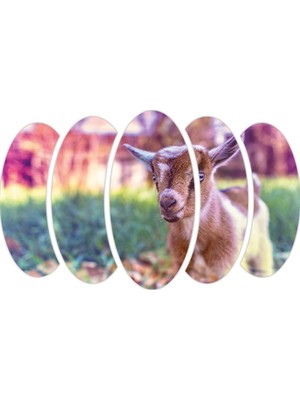 Renkselart Keçi Mdf TABLO-2627