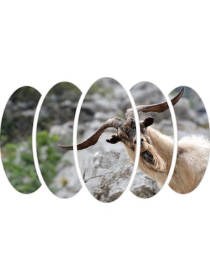 Renkselart Keçi Mdf TABLO-2629