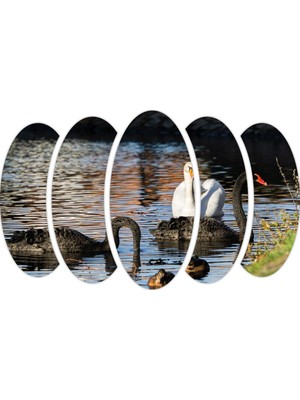 Renkselart Ördek Mdf TABLO-2708